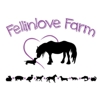 Fellinlove Farm gallery