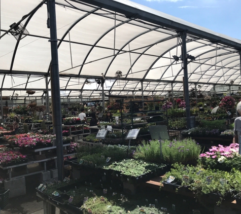 Yamagami's Nursery - Cupertino, CA