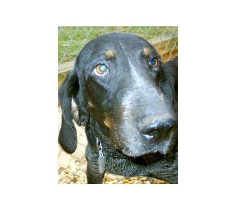 Berwick Veterinary Hospital - Berwick, VIC