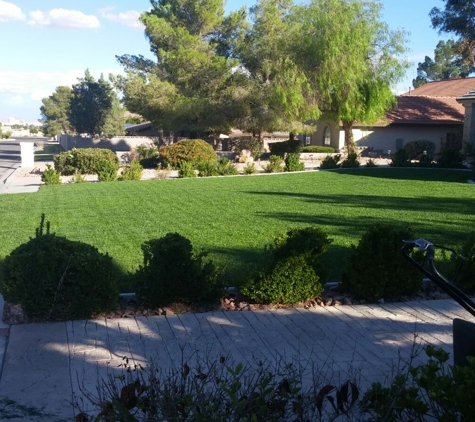 Nature By Design Lawn Care & Landscaping - Las Vegas, NV