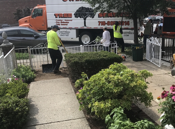 Owens Brothers Tree Service - Bronx, NY