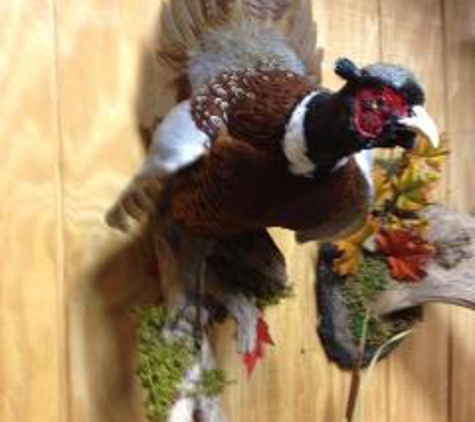 Darrell's Taxidermy - New Baltimore, MI