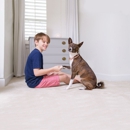 Luka Chem-Dry - Carpet & Rug Cleaners