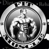 Fitt Muscle gallery