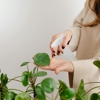 Greenbelt Pest Control gallery