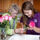 Home Instead - Eldercare-Home Health Services