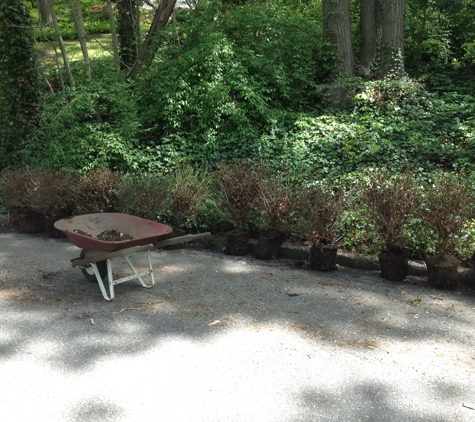 Sitescapes Landscape Design - Stony Brook, NY