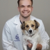 CityVet | Preston Forest Veterinary Clinic & Urgent Care gallery