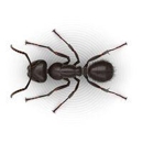 Robbins Pest Control - Pest Control Equipment & Supplies