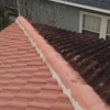 Coyote Roof Cleaning gallery