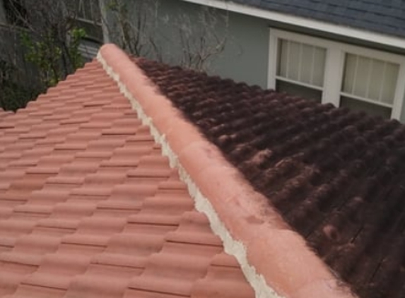 Coyote Roof Cleaning. Tile roof before and after cleaning picture