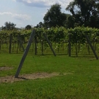 Rushland Ridge Vineyards