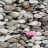 Johnson County Topsoil & Landscape Materials gallery