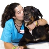 Broward Animal Hospital gallery