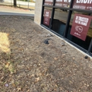 Jiffy Lube Oil Change