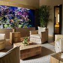 Exotic Aquatic - Aquariums & Aquarium Supplies-Leasing & Maintenance