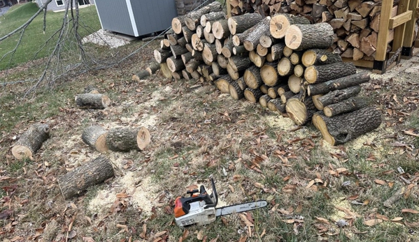 County Tree Service - Valley Park, MO