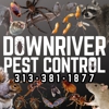 Downriver Pest Control gallery