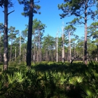 Ochlockonee River State Park