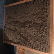 Gallery Image Number 5