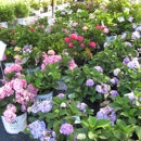 Farm - WB Richardson Growers - Garden Centers