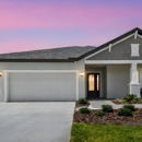 Pinecone Reserve By William Ryan Homes