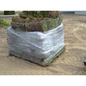 Gallery Image Number 8