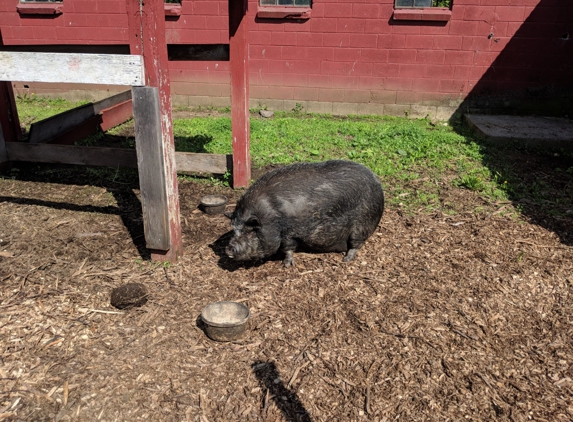 Country Fresh Farms - Hampton, NJ