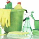 Pick Up, Polish & Purge - Janitorial Service