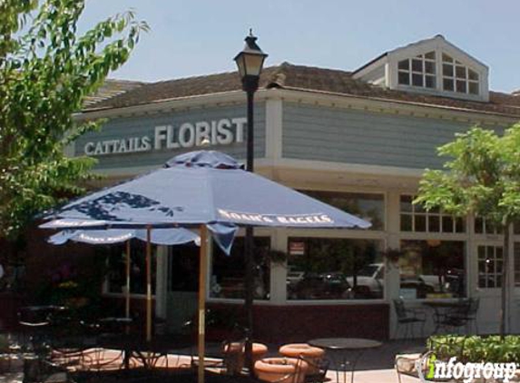 Cattails Florist - Danville, CA