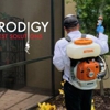 Prodigy Pest Solutions gallery