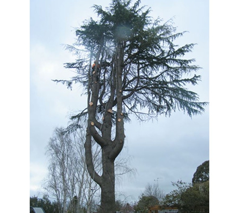 Oliver Shoemark Tree Service Pty Ltd - West Bathurst, NSW