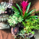 Ace's Flowers - Florists