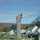 Affordable Tree Svc