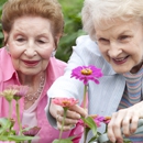 Villa St. Benedict - Nursing & Convalescent Homes
