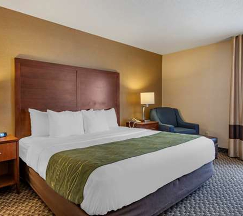 Comfort Inn - Charlotte, MI