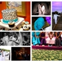 Exquisite Events Wedding and Event Planning, LLC