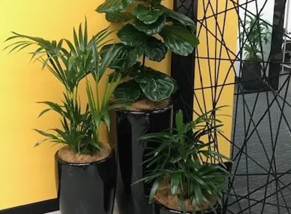 Jindalee Indoor Plant Service - Edgeworth, NSW