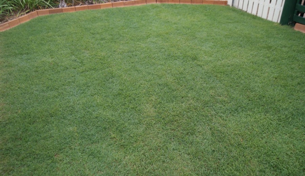 Walkers Turf Supplies - Silkstone, QLD