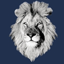 White Lion Moving & Storage - Movers