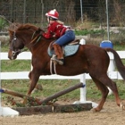 Horseback Riding Lessons / Cathy Weisbecker