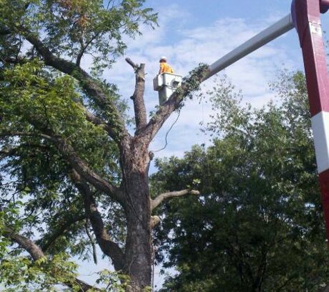 Thompson Tree Service