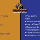 Defender Termite & Pest Management