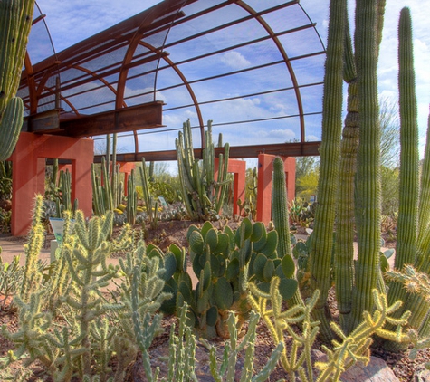 Desert Botanical Garden - Phoenix, AZ
