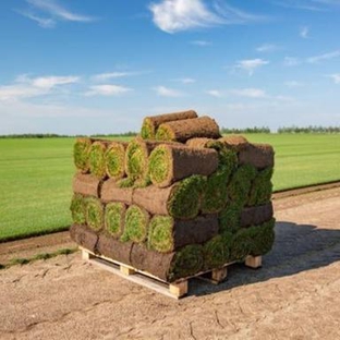 Templeton Gap Turf Farm - Colorado Springs, CO