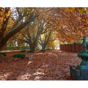 Gallery Image Number 1