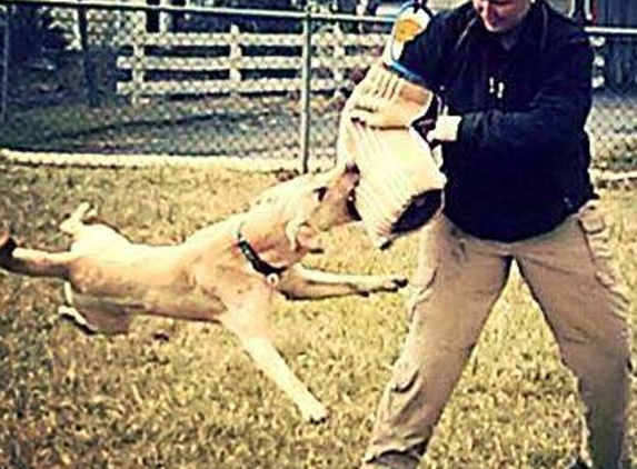 American K9 Dog Training - Laurel, MD