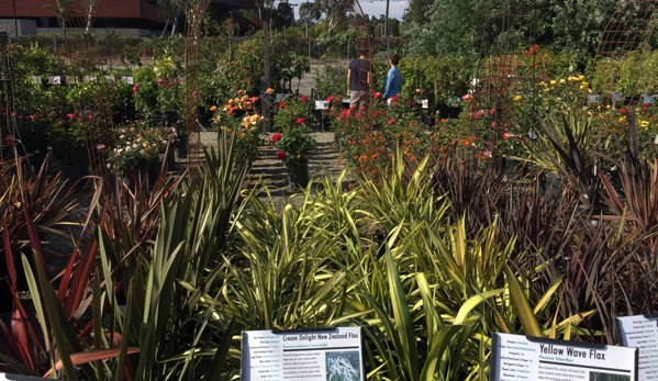 Marina Del Rey Garden Center - Marina Del Rey, CA