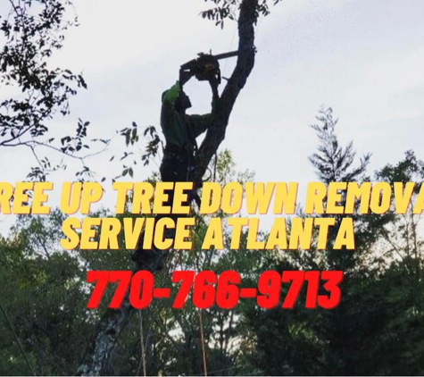 Tree Up Tree Down Removal Service Atlanta