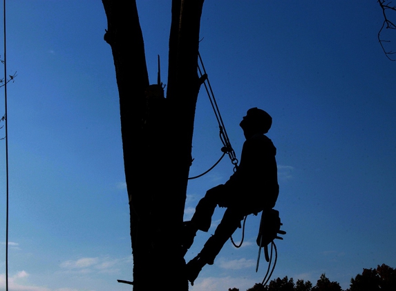 tree service logan - Logan, UT